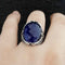 Faceted Sapphire Luxury Cut Eagle Design 925 Sterling Silver Mens Ring silverbazaaristanbul 